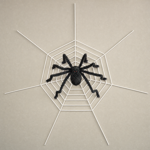 SpiderSpan — 49-Inch Spider & Web Set